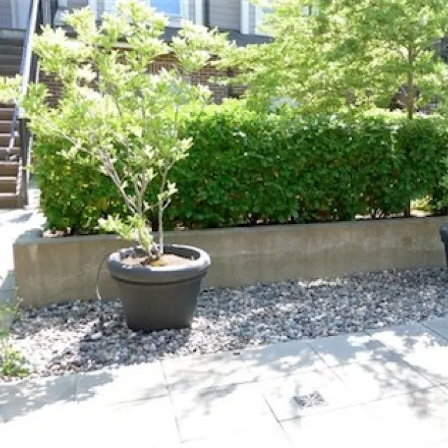 Liberta in UBC - Unfurnished, 1 Bed 1 Bath Apartment For Rent at 116 - 2780 Acadia, Vancouver Liberta in UBC - Unfurnished, 1 Bed 1 Bath Apartment For Rent at 116 - 2780 Acadia, Vancouver