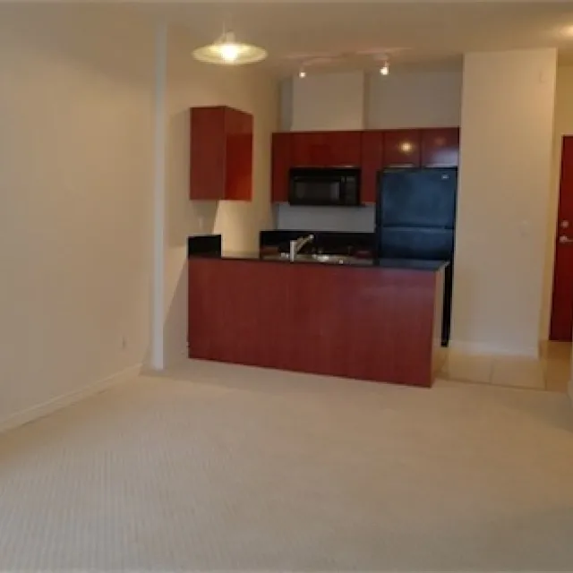 Venus in Downtown - 1 Bedroom Apartment For Rent in Vancouver 2008 - 1239 West Georgia Street, Vancouver, BC