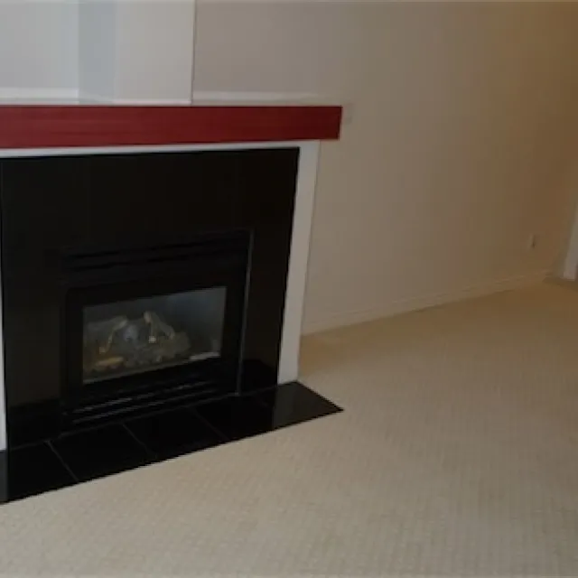 Venus in Downtown - 1 Bedroom Apartment For Rent in Vancouver 2008 - 1239 West Georgia Street, Vancouver, BC