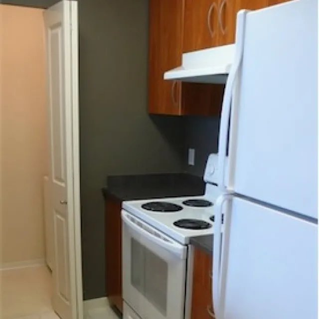 Latitude in Renfrew Collingwood - 1 Bedroom Apartment For Rent in Vancouver 2210 - 3663 Crowley Drive, Vancouver, BC