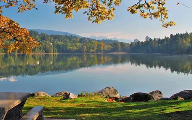 Pet-Friendly Rentals: Why Port Moody Is The Place to Be